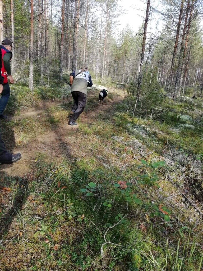 På vej ud på påvisning af 3. figurant på første runderingsbane