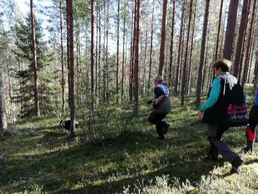 På vej ud på påvisning af 2. figurant på anden runderingsbane