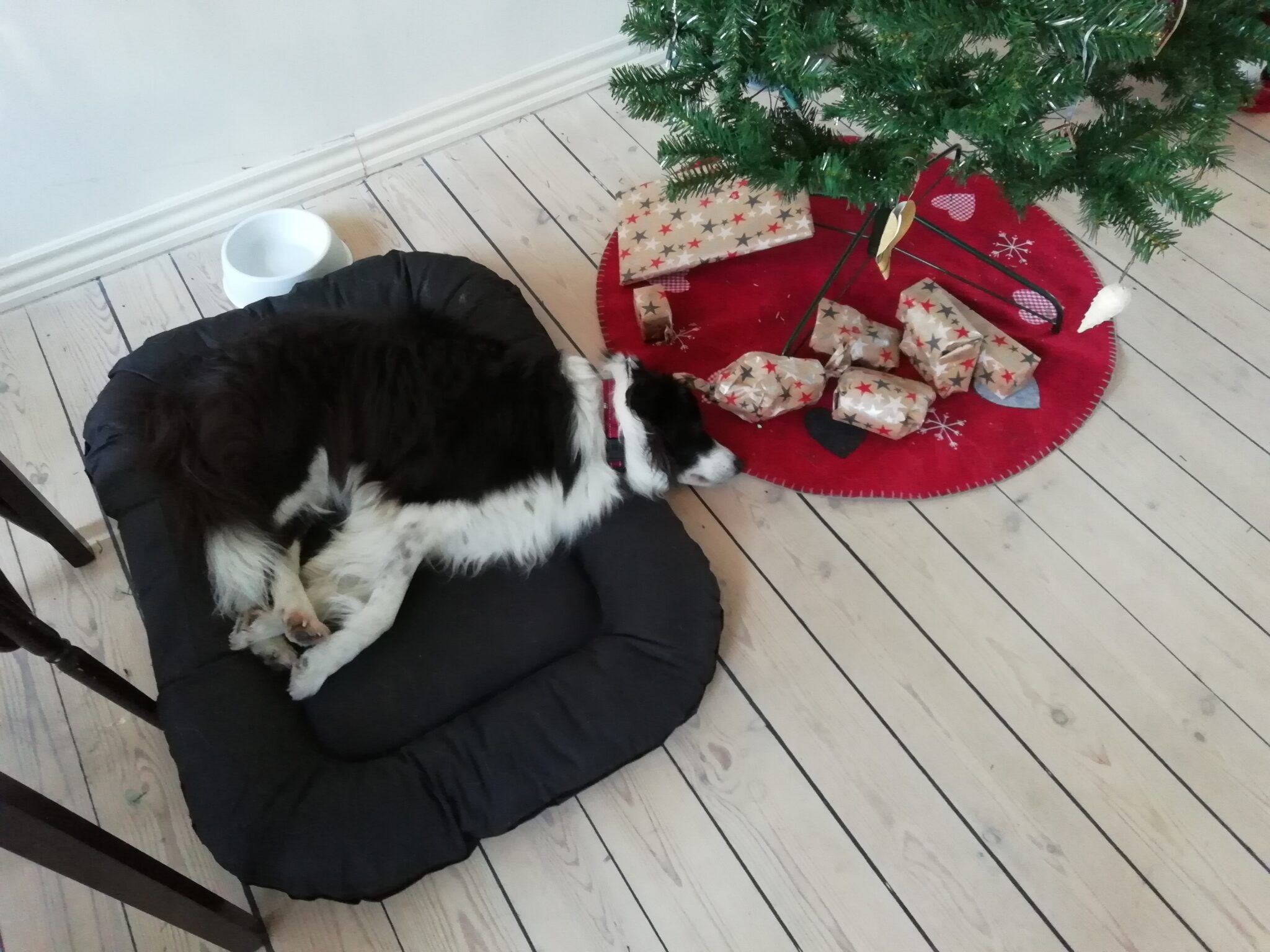 Når man har givet sig selv helt i et NW søg, så kan man blive SÅ træt, at man må sove med hovedet under juletræet!