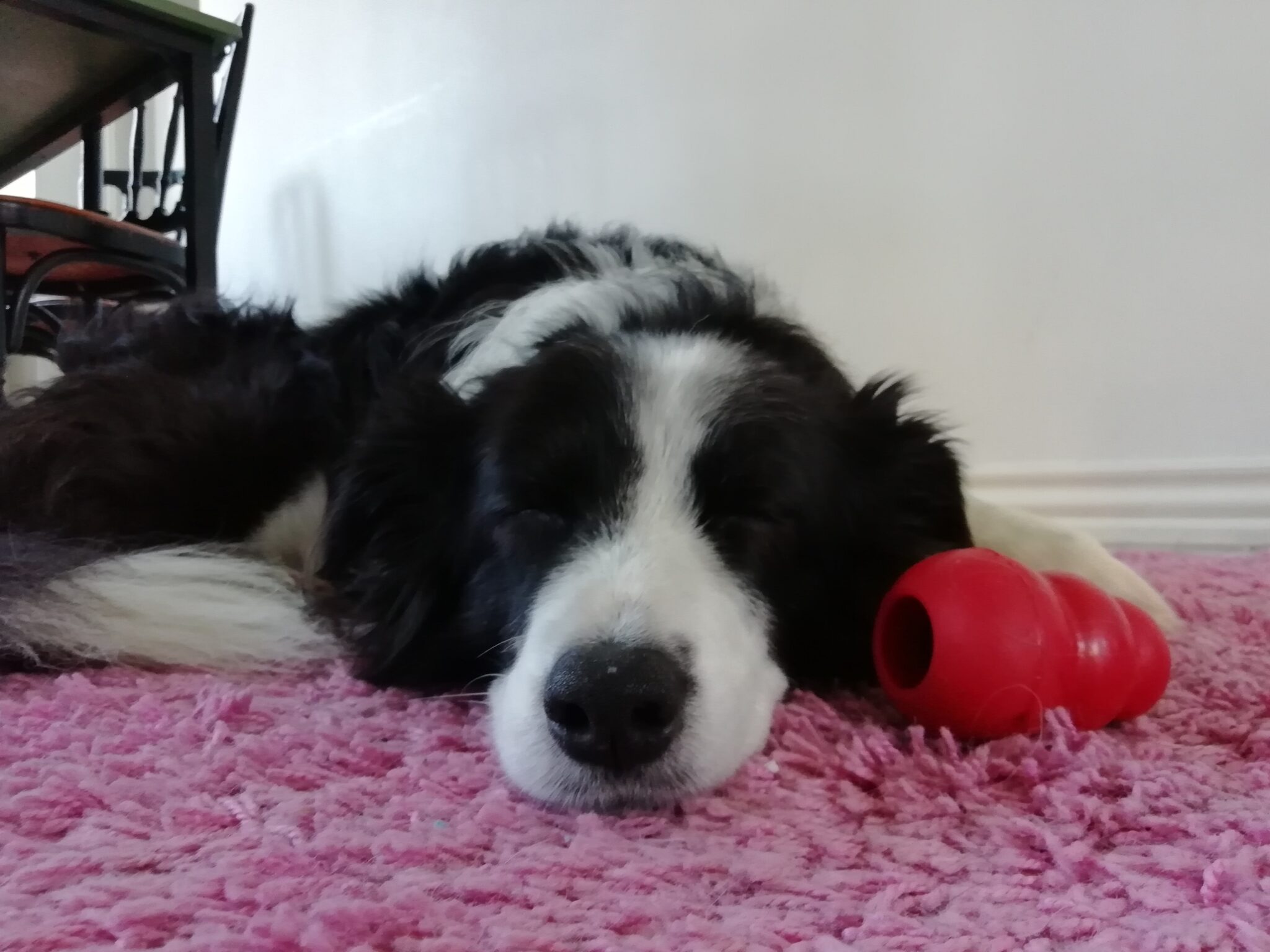 Sovebamse