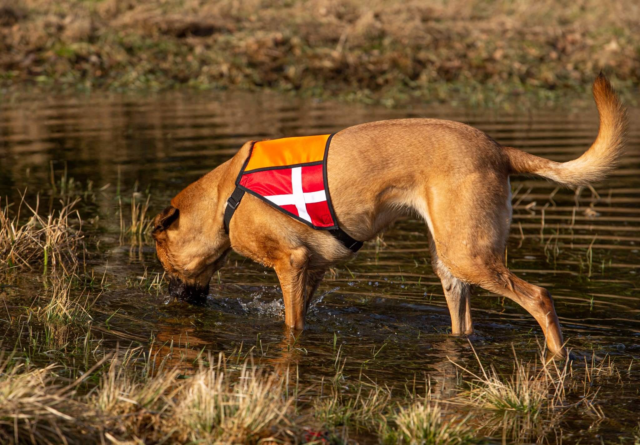 received_284976232960749