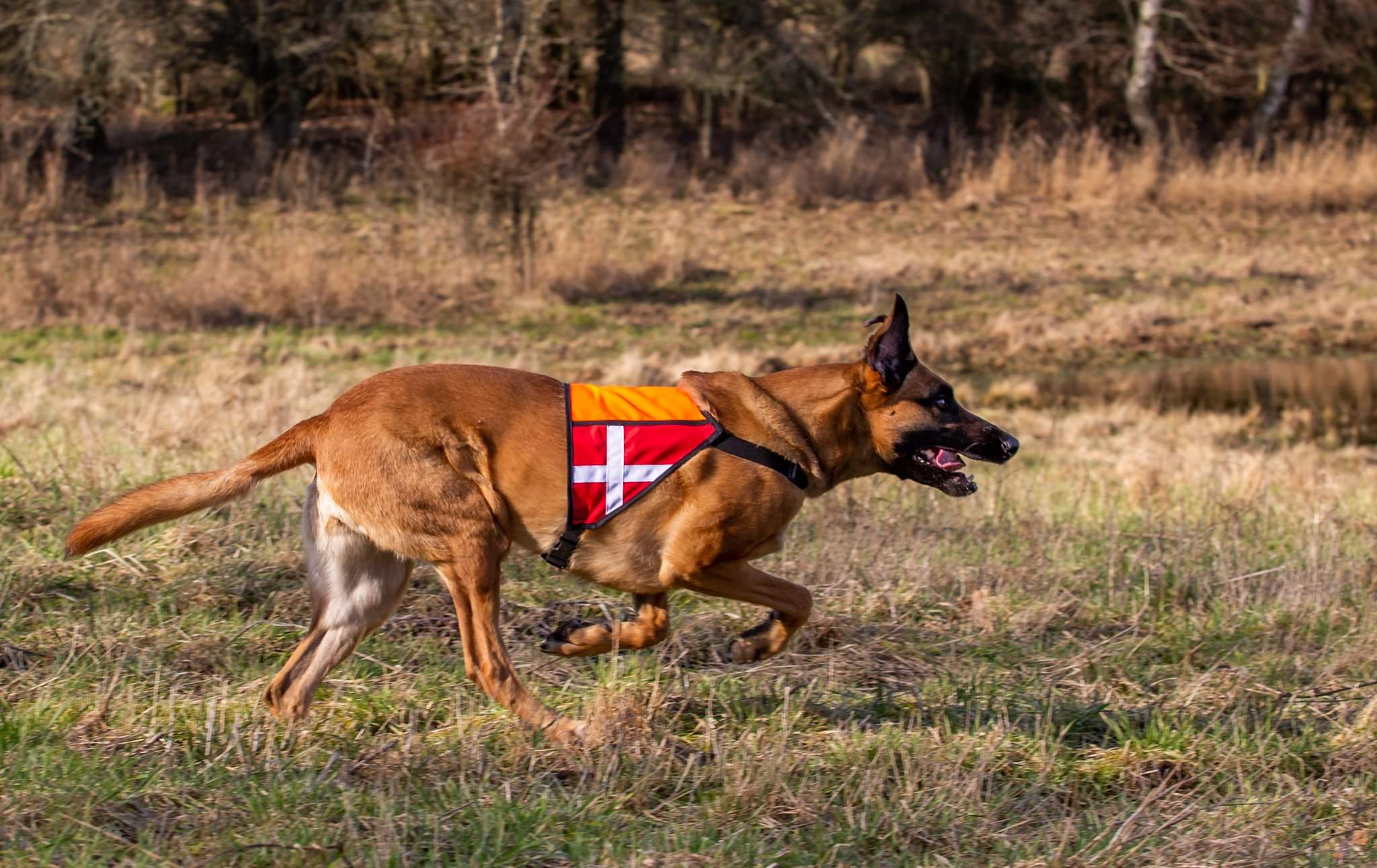 received_433134837778775