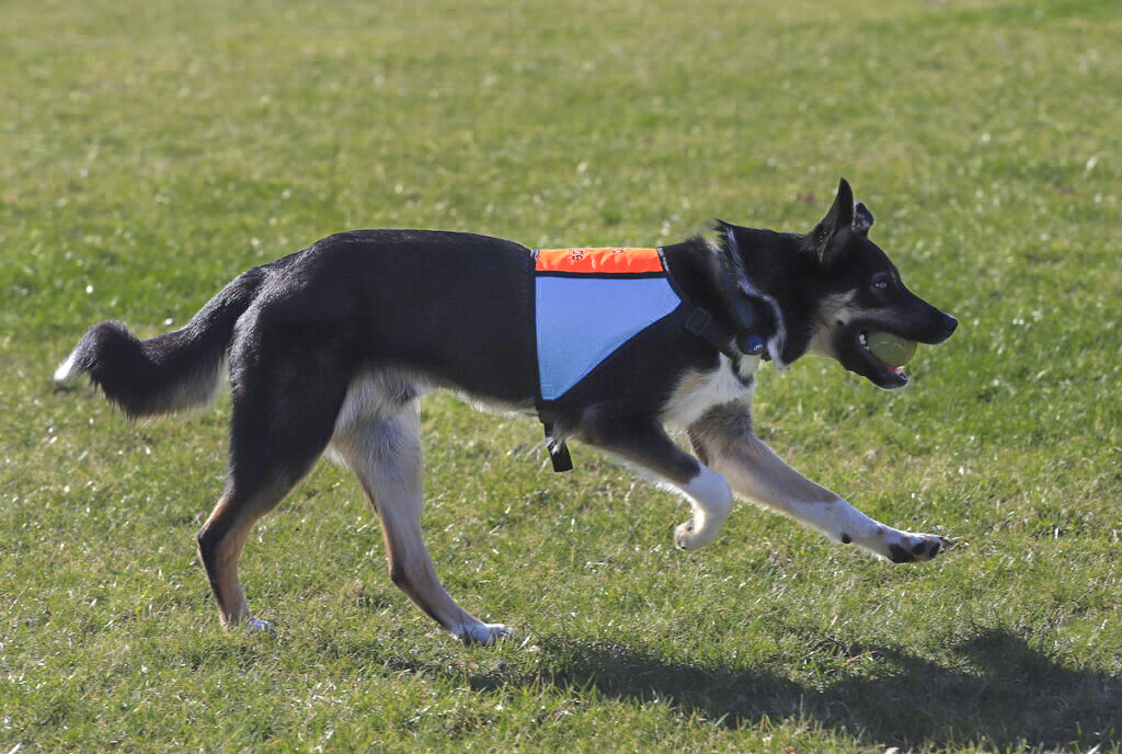 Kantet. Turkis/neon-orange. To broderier. 300,-