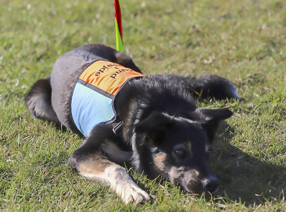 Kantet. Turkis/neon-orange. To broderier. 300,-